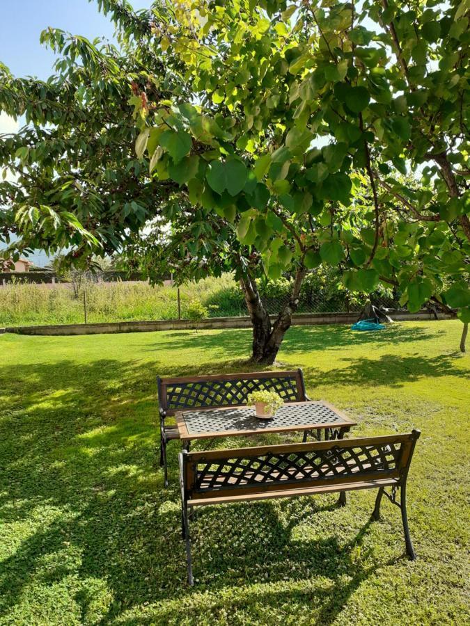 Chrysafis Apartments เนอาวรัสนา ภายนอก รูปภาพ